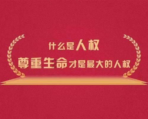 小马宝莉的新造型